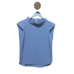 Bluza